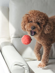 Pups-Bubs-peluche-fouille-pour-chien-sauce-tomate