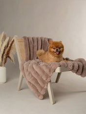 Scruffs-plaid-pour-chien-Aspen-gris-taupe