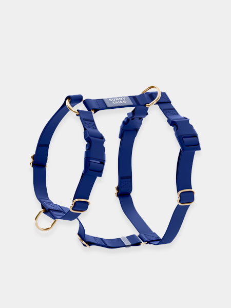Shop-sunnytails-harnais-waterproof-pour-chien-bleu-nuit