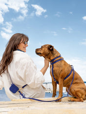 Shop-sunnytails-harnais-waterproof-pour-chien-bleu-nuit