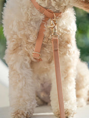 Shop-sunnytails-harnais-waterproof-pour-chien-cloud-lite-beige-chai
