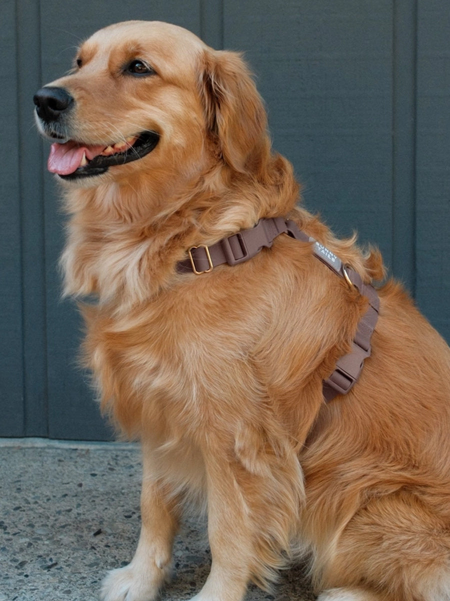 Shop-sunnytails-harnais-waterproof-pour-chien-cloud-lite-marron-espresso