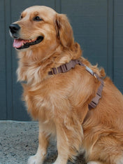 Shop-sunnytails-harnais-waterproof-pour-chien-cloud-lite-marron-espresso