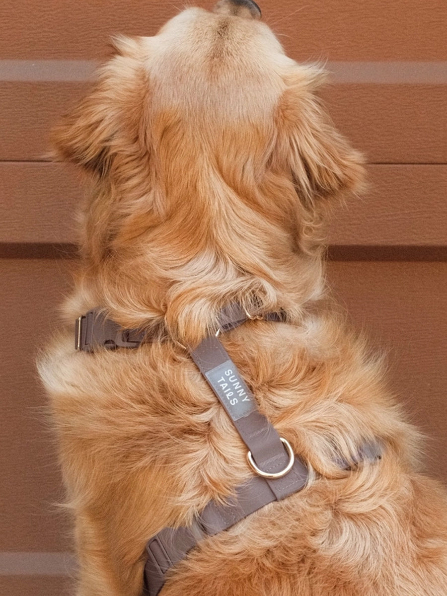 Shop-sunnytails-harnais-waterproof-pour-chien-cloud-lite-marron-espresso