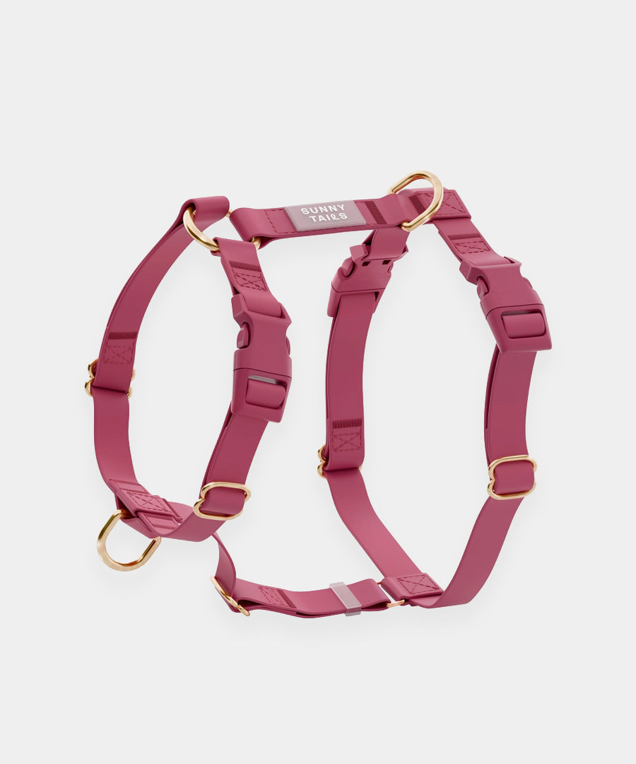 Shop-sunnytails-harnais-waterproof-pour-chien-cloud-lite-mure