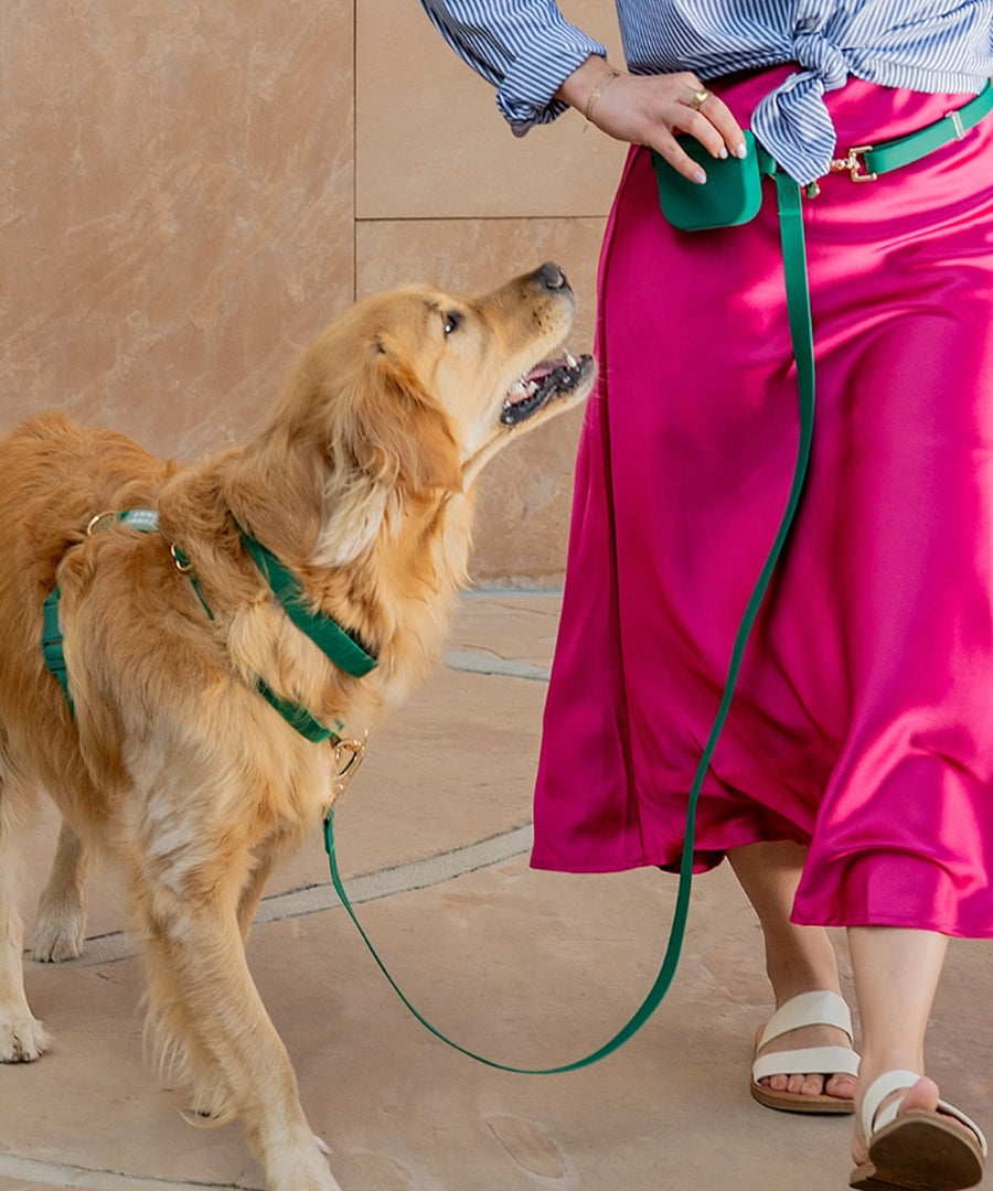 Shop-sunnytails-harnais-waterproof-pour-chien-cloud-lite-vert-foret