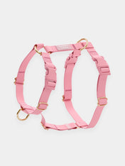 Shop-sunnytails-laisse-waterproof-pour-chien-rose-parfait