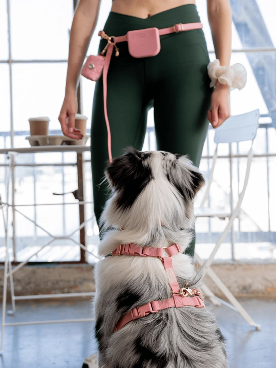Shop-sunnytails-laisse-waterproof-pour-chien-rose-parfait