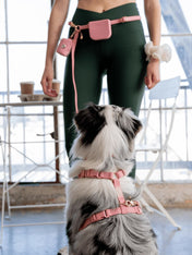 Shop-sunnytails-laisse-waterproof-pour-chien-rose-parfait
