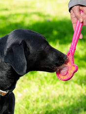 SodaPup-Lick-Stick-Hand-Held-jouetinteractif-pour-chien-chiot-glace-rose
