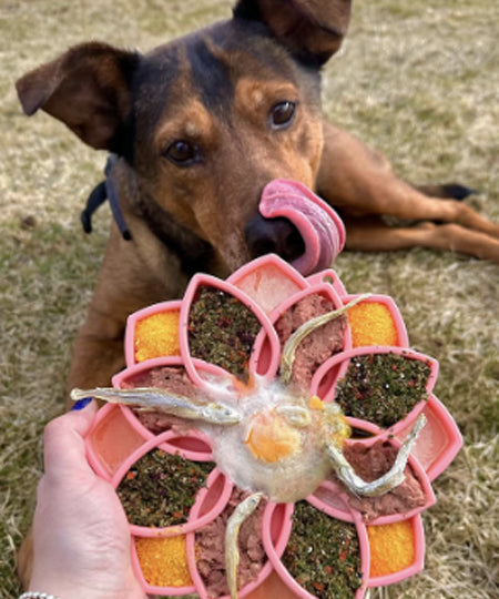 SodaPup-jouet-enrichissement-etray-pour-chien-chiot-mandala-silicone-rose