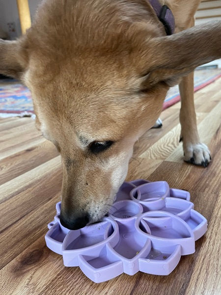 SodaPup-jouet-enrichissement-etray-pour-chien-chiot-mandala-silicone-violet