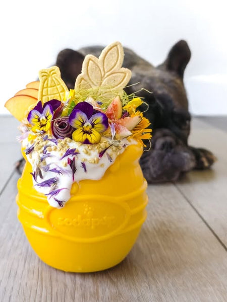SodaPup-jouet-interactif-pour-chien-chiot-honey-pot