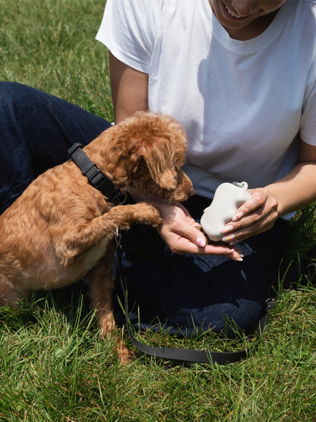 Springer-pochette-friandises-pour-chien-avoine