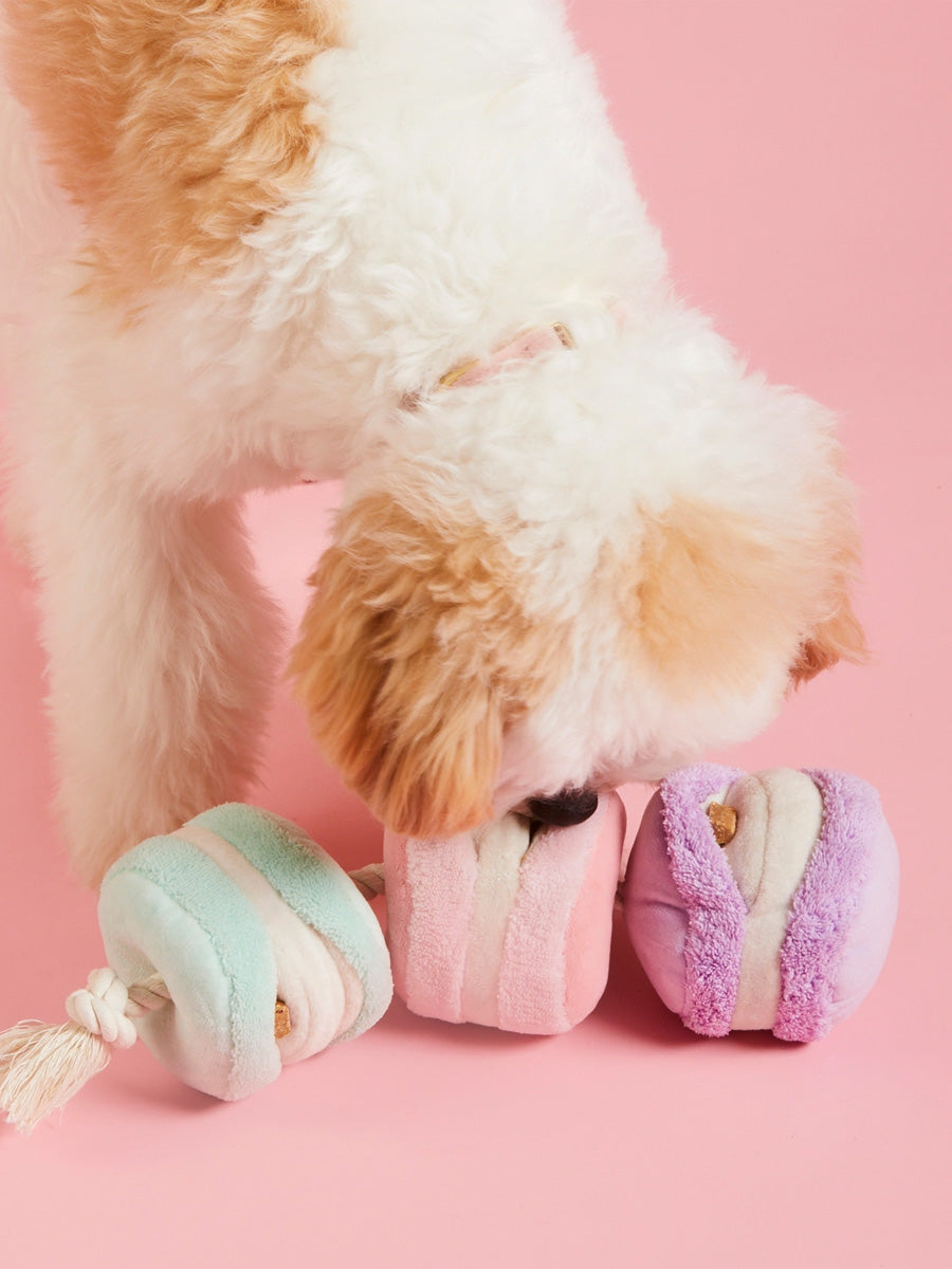 The-Foggy-Dog-peluche-fouille-balle-pour-chien-macarons