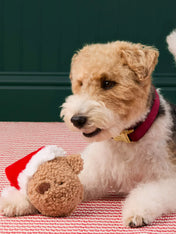 The-Foggy-Dog-peluche-fouille-balle-pour-chien-ourson-noel