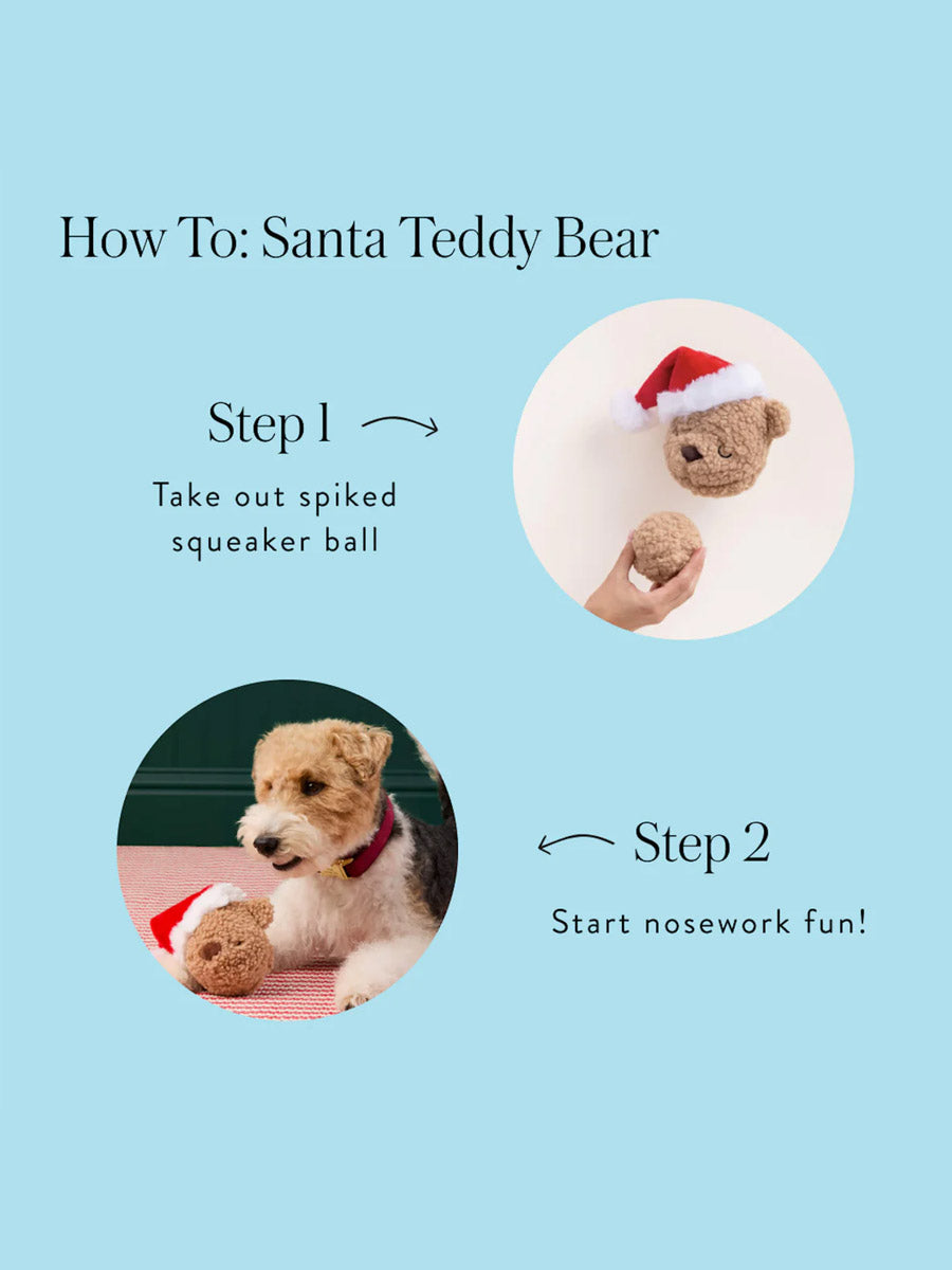 The-Foggy-Dog-peluche-fouille-balle-pour-chien-ourson-noel