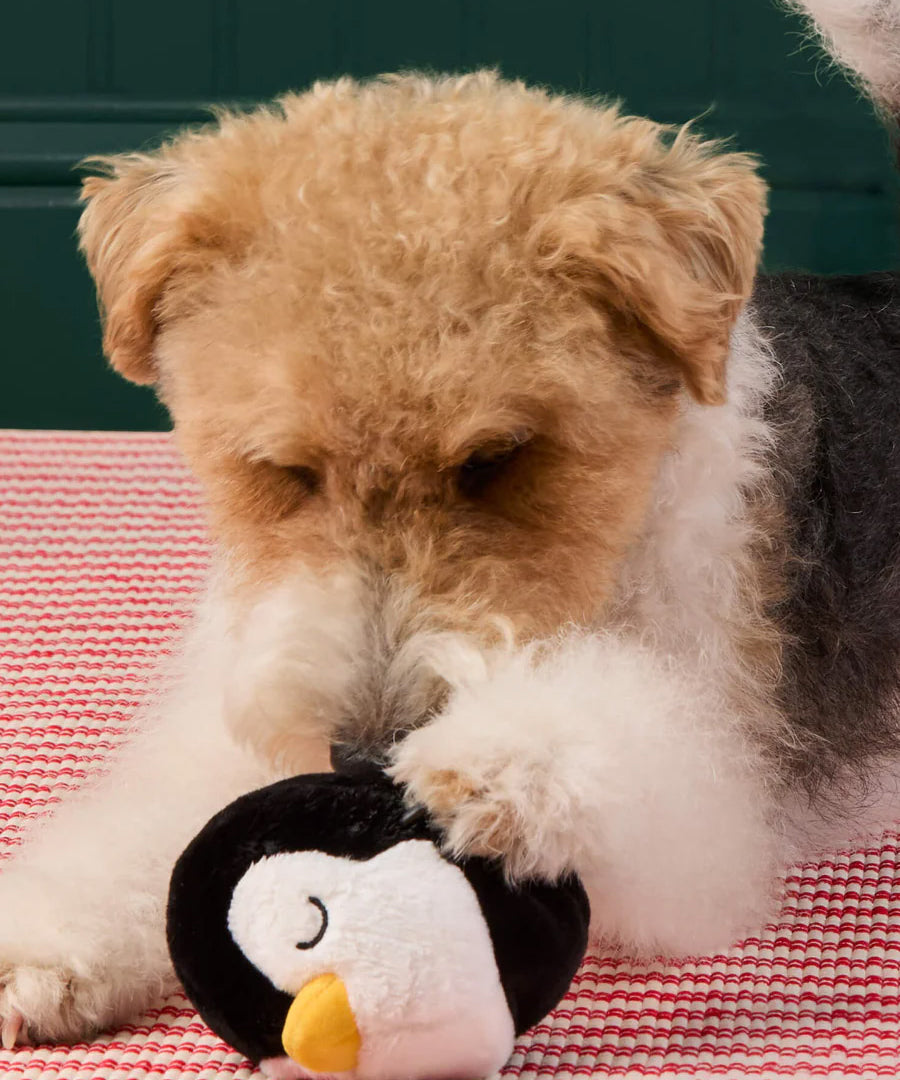 Peluche de Noël pour chien - Pingouin - The Foggy Dog