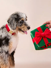 The-Foggy-Dog-peluche-fouille-pour-chien-cadeau-noel