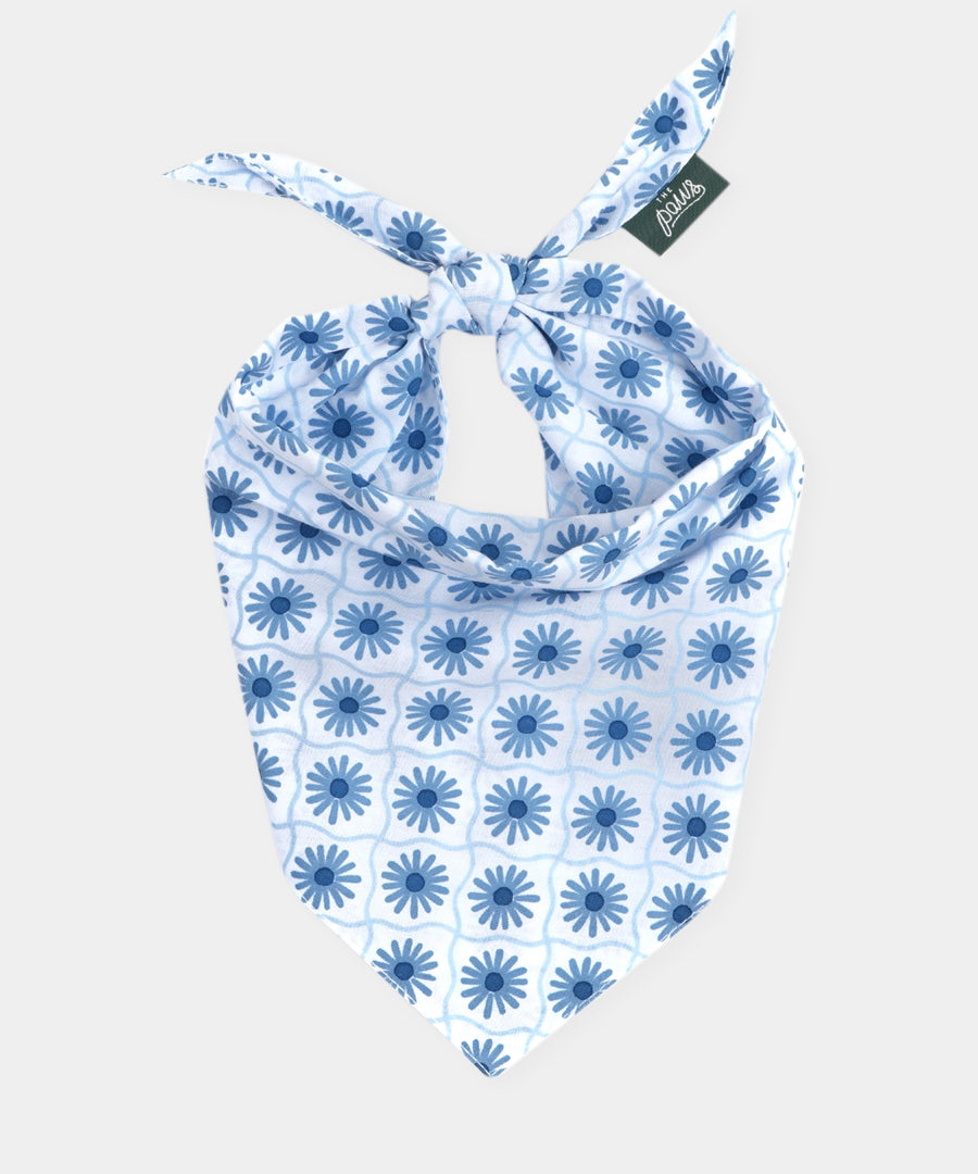 The-Paws-bandana-pour-chien-Alfie-bleu