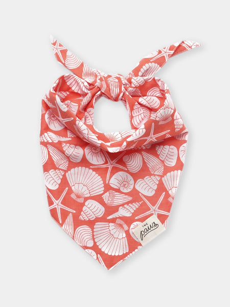 The-Paws-bandana-pour-chien-Flores-Shell
