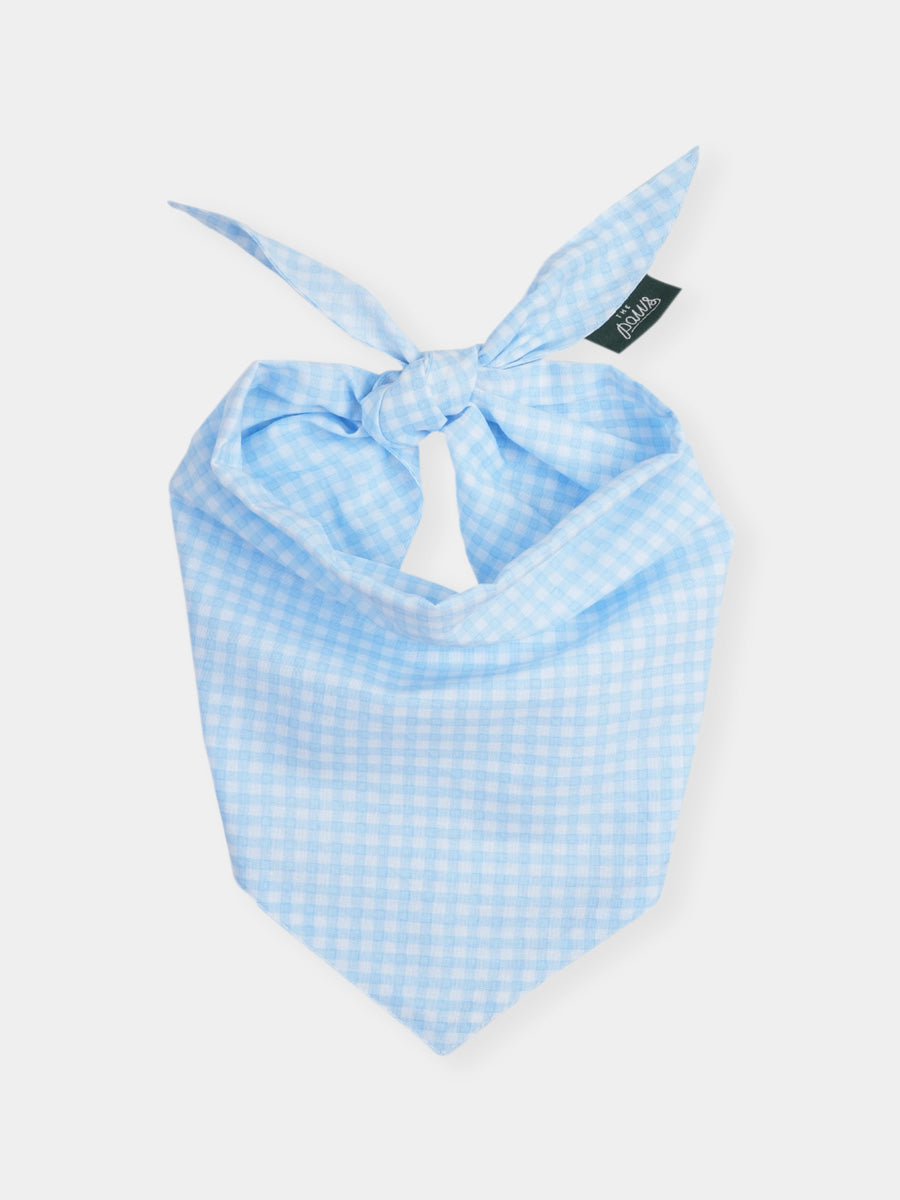 The-Paws-bandana-pour-chien-Gingham-bleu