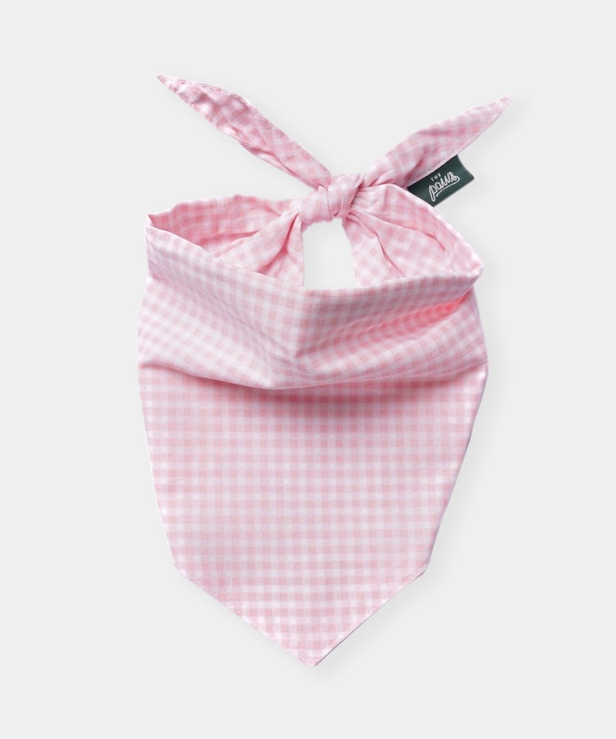 The-Paws-bandana-pour-chien-Gingham-rose