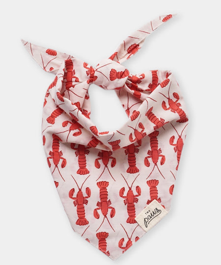 The-Paws-bandana-pour-chien-Lobstah