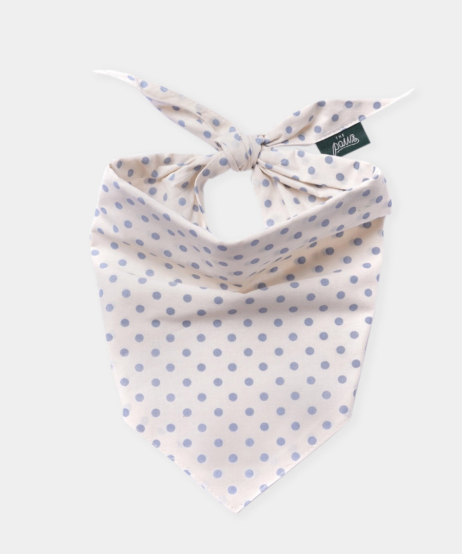 The-Paws-bandana-pour-chien-Polka-Dot-bleu
