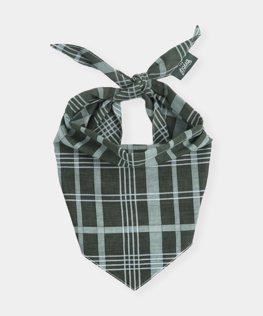 The-Paws-bandana-pour-chien-winter-pine