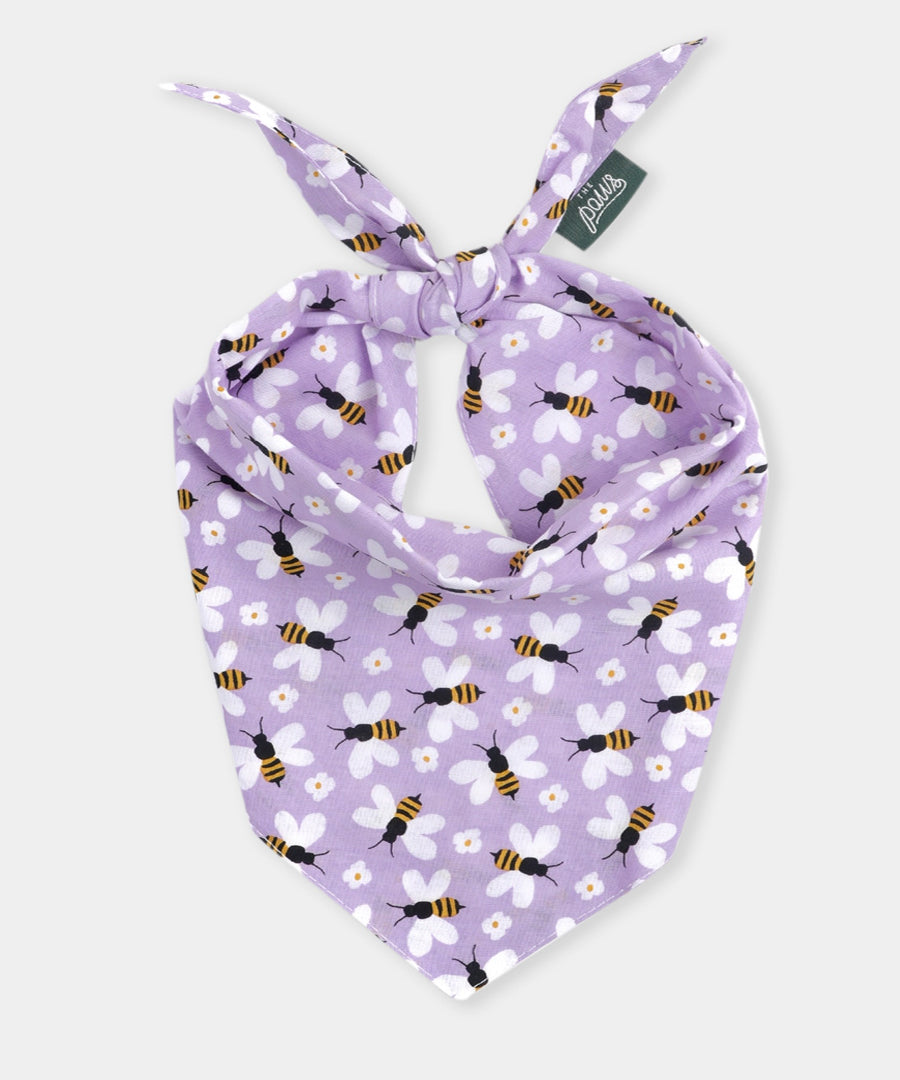 The-Paws-bandana-pour-chien-abeille-violet