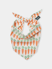The-Paws-bandana-pour-chien-carotte-crunch