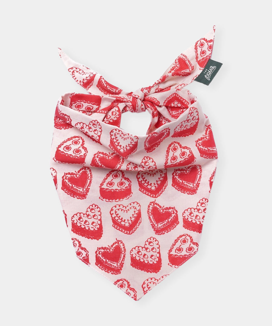 The-Paws-bandana-pour-chien-kate