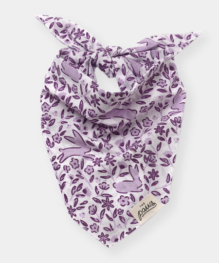 The-Paws-bandana-pour-chien-lapin