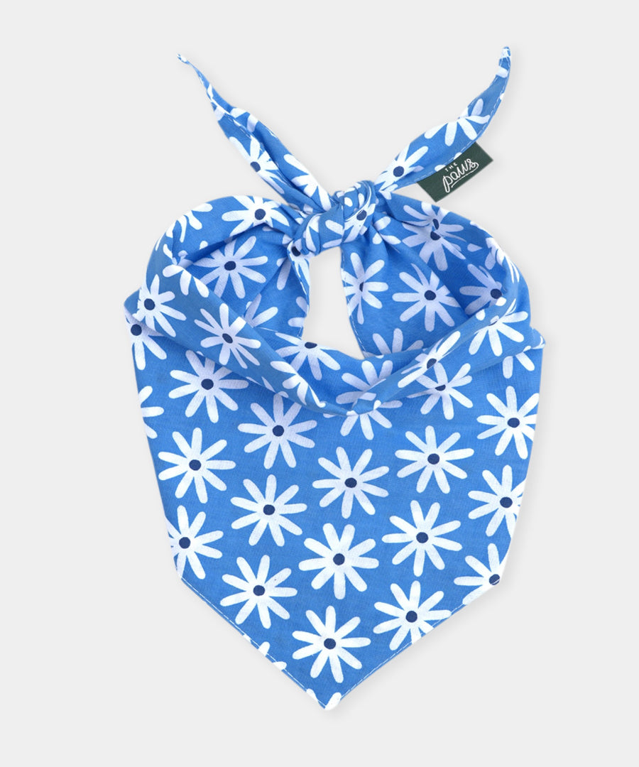 The-Paws-bandana-pour-chien-lyla-fleur-bleu