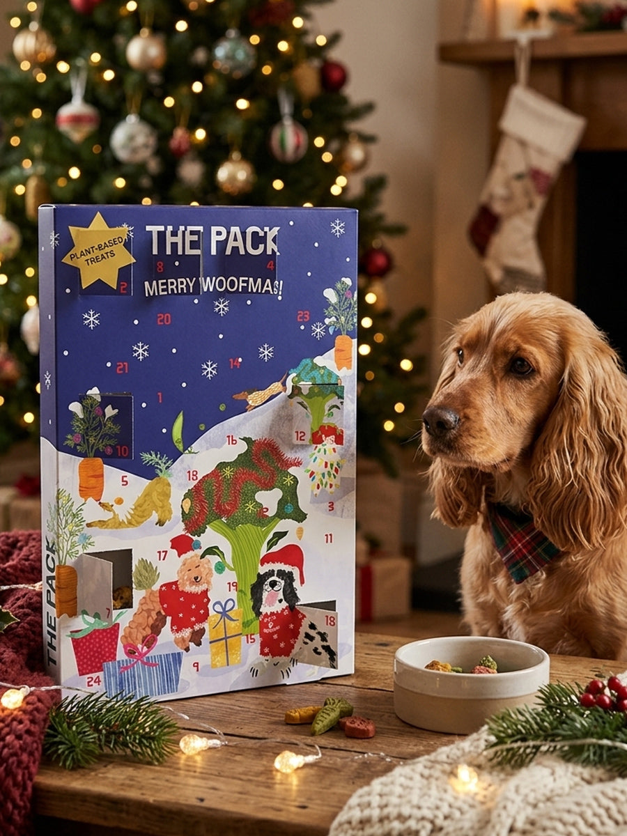 The-pack-friandises-vegan-pour-chien-calendrier-avent-2026