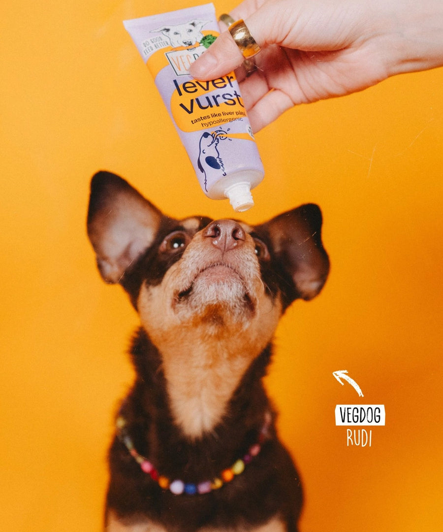 Vegdog-friandises-vegan-chien-tube-patee-a-lecher