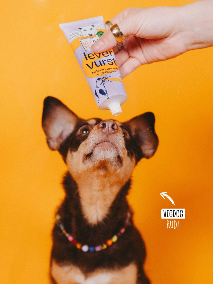 Vegdog-friandises-vegan-chien-tube-patee-a-lecher