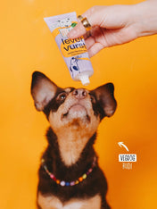 Vegdog-friandises-vegan-chien-tube-patee-a-lecher