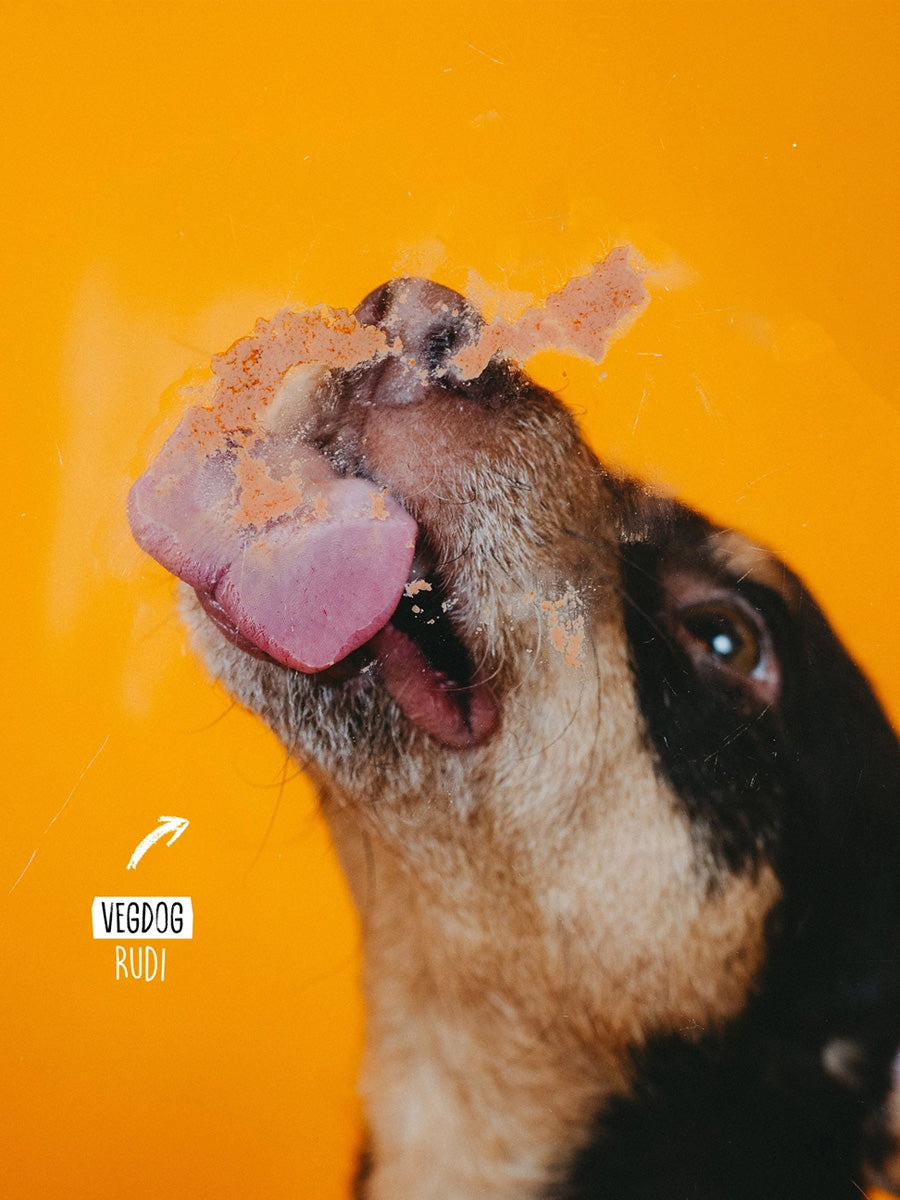Vegdog-friandises-vegan-chien-tube-patee-a-lecher