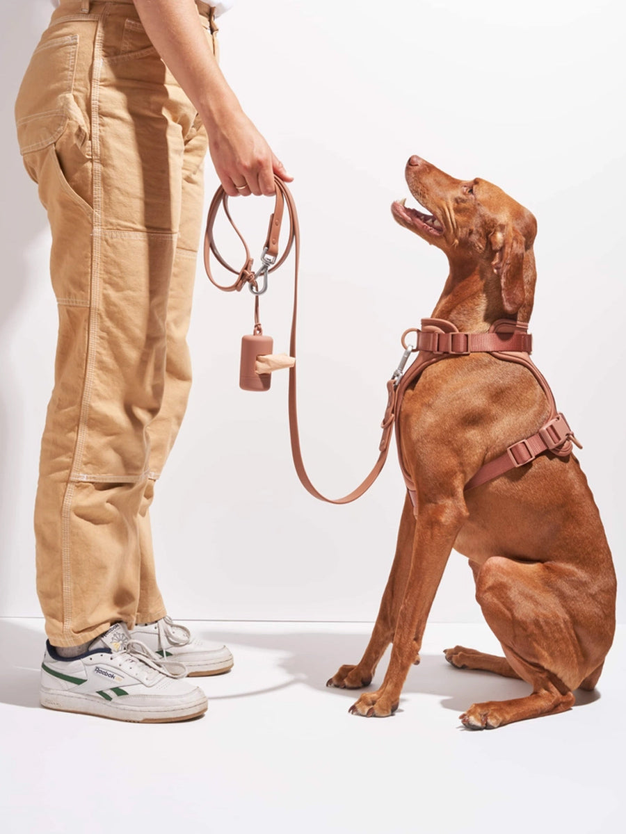 Wild-one-accessoire-chien-design-porte-sac-a-dejection-cacao
