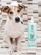 Wilda-Siberica-shampoing-bio-pour-chien-anti-stress