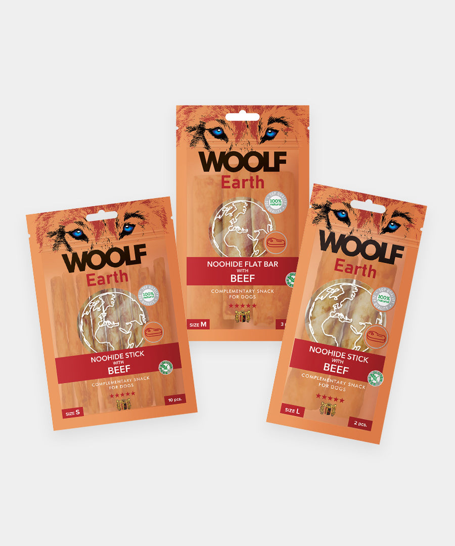 Woolf-stick-dentaire-pour-chien-noohide-boeuf