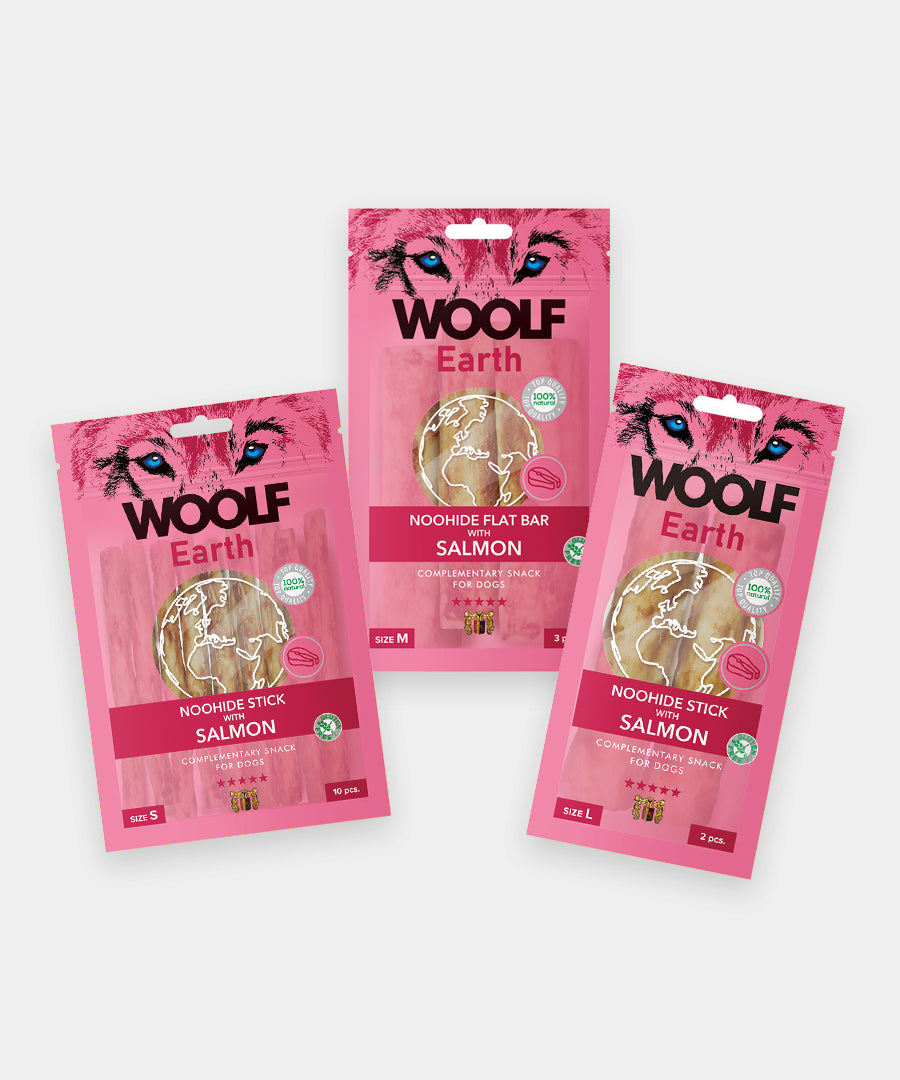 Woolf-stick-dentaire-pour-chien-noohide-saumon