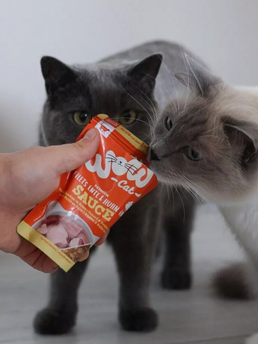 Wow-cat-filets-poulet-canard-en-sauce-pour-chat