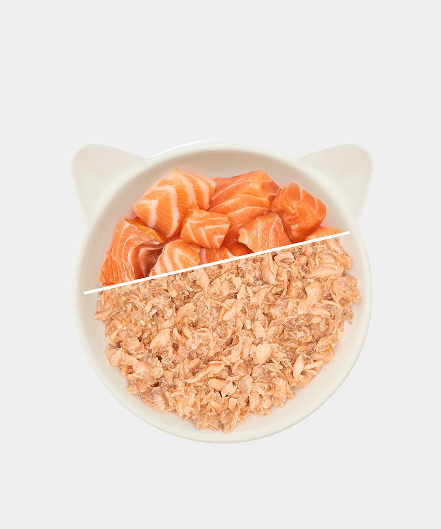 Wow-cat-filets-premium-saumon-pour-chat