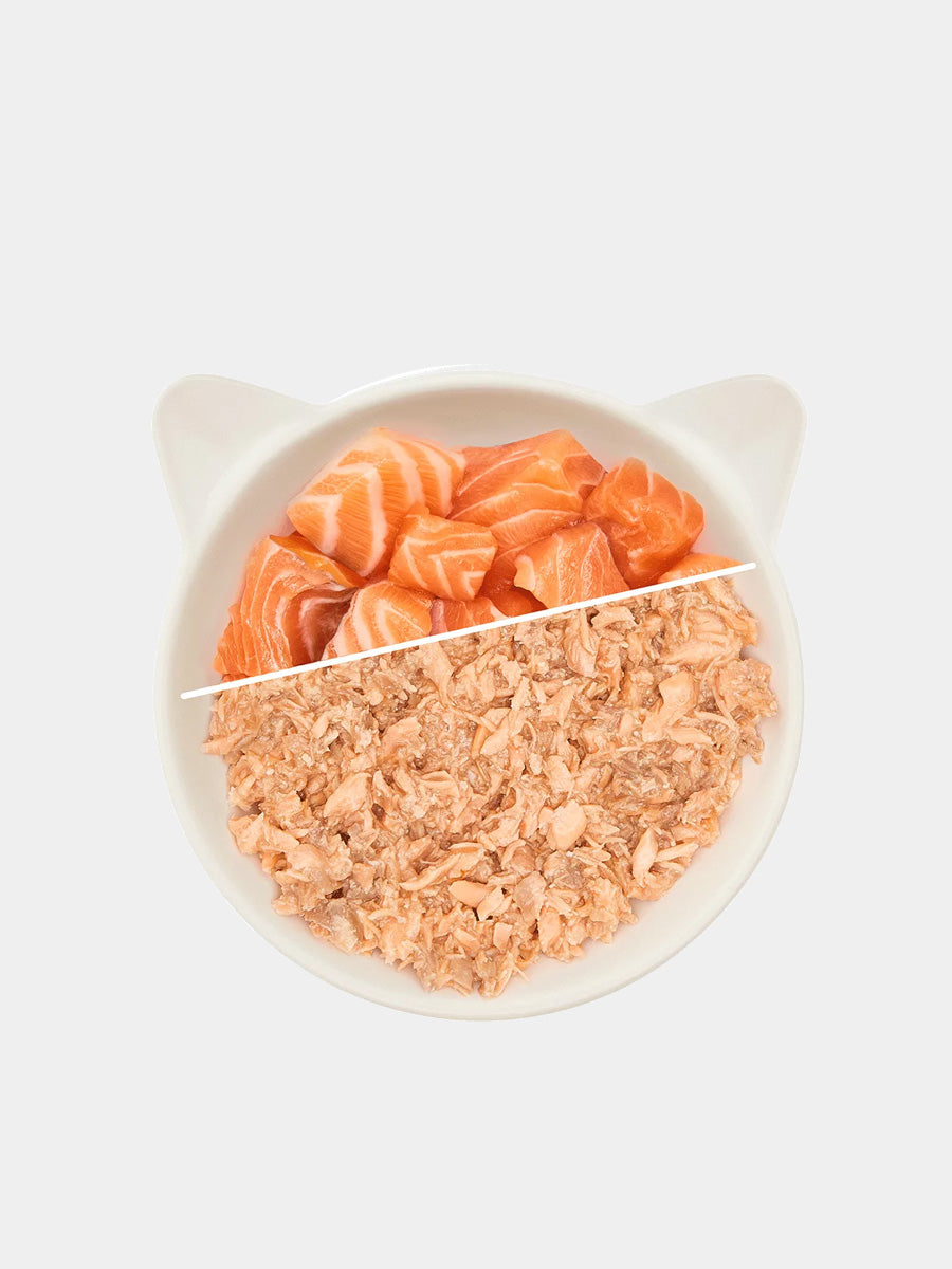 Wow-cat-filets-premium-saumon-pour-chat