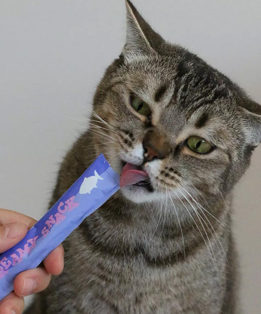 Wow-cat-friandises-a-lecher-pour-chat-creamies-saumon
