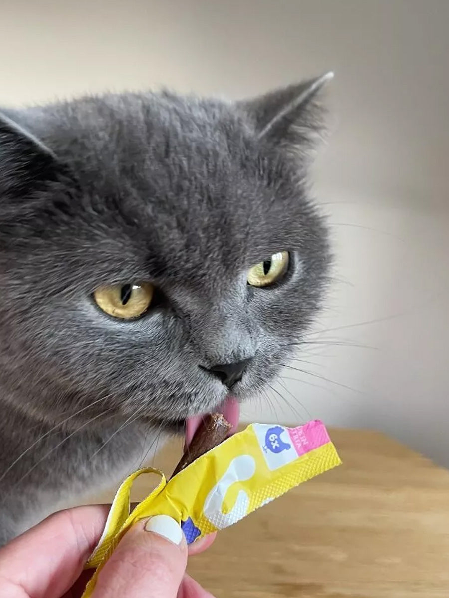 Wow-cat-friandises-pour-chat-stick-poulet
