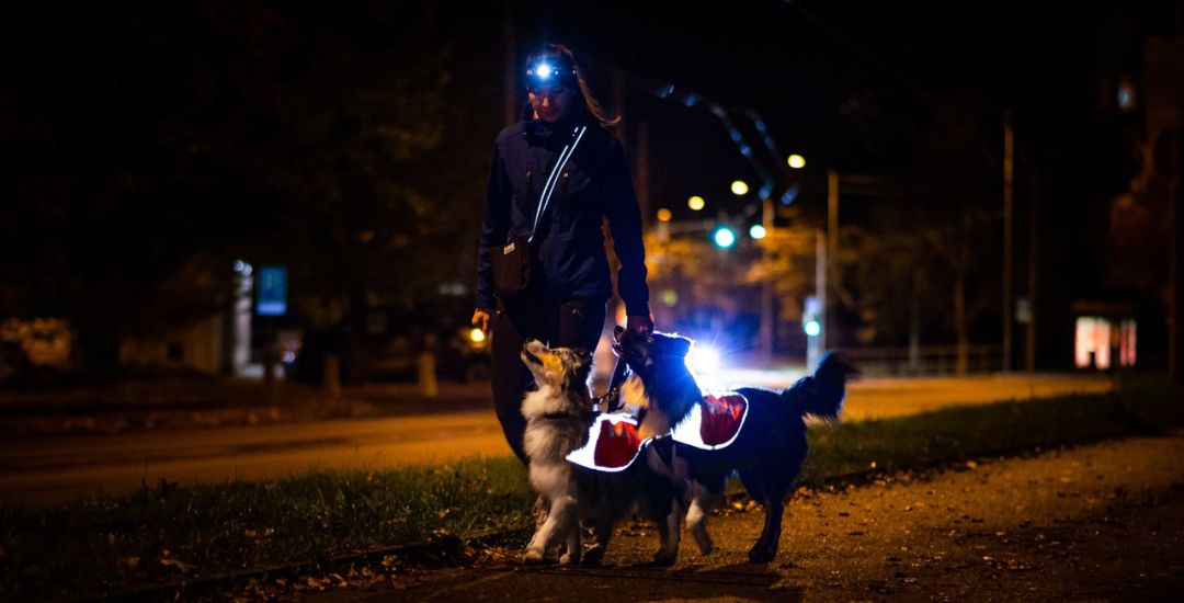 accessoires_visibilite_son_chien_-_inooko.jpg